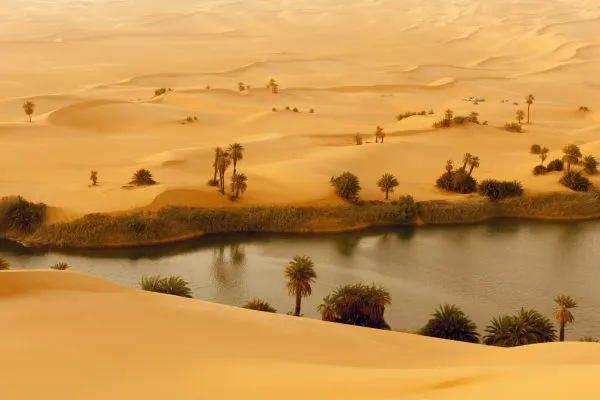 oasis-in-a-vast-sandy-desert-SBI-300962793