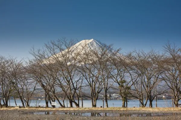 Beautiful Mount Fuji with lake, japan