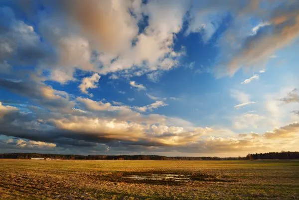Heavy rain clouds over the field at the sunset