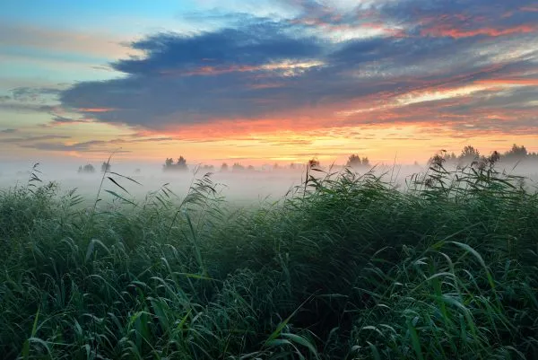 Colorful sunrise at the field with morning fog