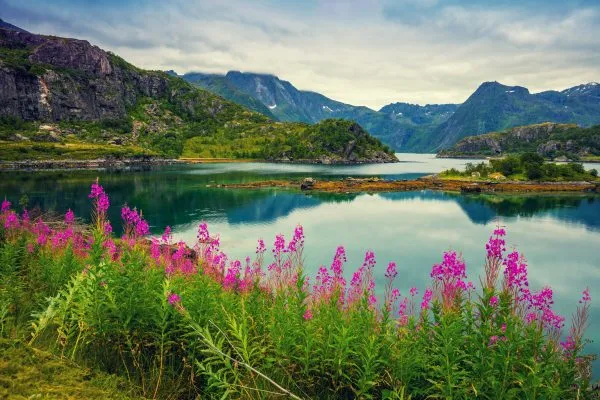View of the fjord. Rocky seashore with reflection, blue cloudy s